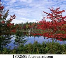 A still lake in the North during autumn