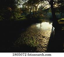 belfast, Minnowburn, praias, irlanda