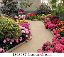 caminho, com, camas flor, e, árvores