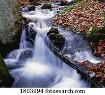 cascata, com, licenças baixa