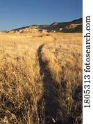 Curving badlands trail through dried grasses  