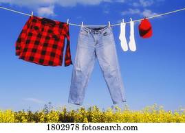 Laundry drying on a clothes line over a canola field Stock Photo ...