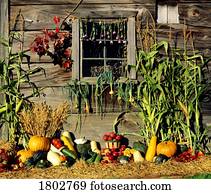 outono, colheita, cena