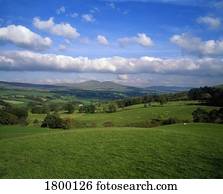 Sperrin, montanhas, em, município, Tyrone, irlanda