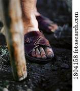 um, pessoa, ficar, com, cana