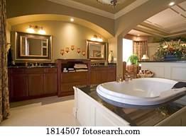 Well furnished luxurious bathroom 