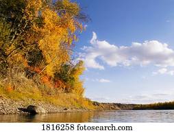 folhagem baixa, ligado, contorno costa