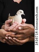 mulheres, segurando, um, pomba