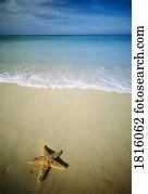 Star fish on tropical beach in Phuket, Thailand  