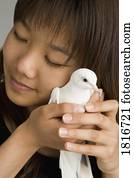 um, mulher segura, um, pomba