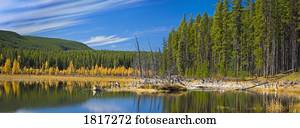 Wilmore, selva, em, a, outono, alberta, canadá