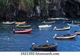 escorado, barcos, camara, de, lobos, madeira, portugal