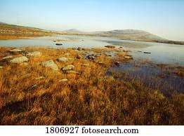 inundado, pântano, irlanda