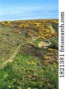 paisagem, ligado, canalize ilhas, guernsey