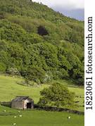 Barn in field, Derbyshire, UK  