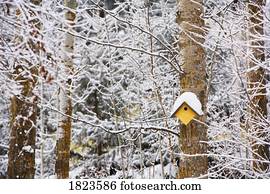 birdhouse, in, dass, winterbilder birdhouse, in, dass, winterbilder