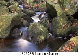 Stream in Padley Gorge, Derbyshire, UK  