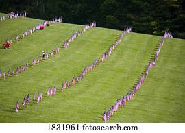 bandeiras americanas, em, um, cemitério, durante, dia comemorativo, oregon, eua