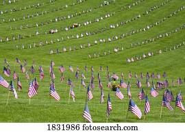 bandeiras americanas, em, um, cemitério, durante, dia comemorativo, oregon, eua