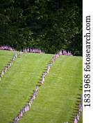 bandeiras americanas, em, um, cemitério, durante, dia comemorativo, oregon, eua