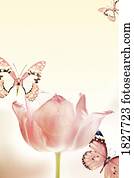 borboletas, e, tulips