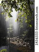 floresta amazônica, cachoeira, Belingen, austrália