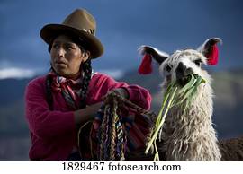peruano, mulher, em, roupa tradicional, com, lhama, em, cuzco, peru