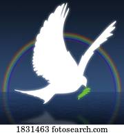 pomba, segurando, um, símbolo de paz, com, arco íris, em, fundo