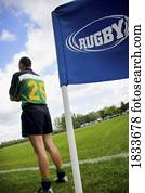 rúgbi, árbitro, observar, a, jogo