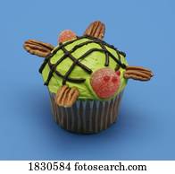 tartaruga, cupcake