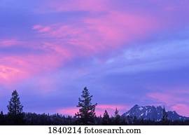 bandeira, pico, região selvagem ansel adams, califórnia, eua