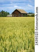 edifício fazenda, e, colheita