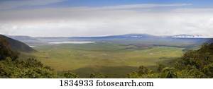 Ngorongoro Crater, Tanzania, Africa  