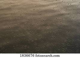 chuva, queda, ligado, água