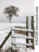 zaun, in, winterbilder zaun, in, winterbilder