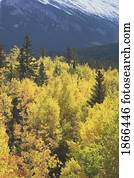 outono, árvores, montanhas