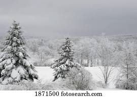 um, paisagem inverno