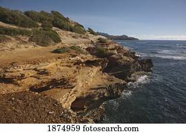 hawaii, united states of america; rugged section of the southeastern shore of kauai