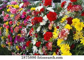 A Variety Of Flowers