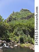 Kauai, Hawaii, United States Of America; Stream Flows From Tropical Rainforest In The Mountainous Region