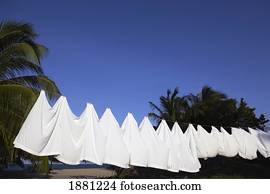 wash on a clothesline; belize