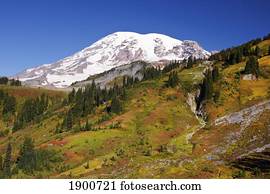 autumn colors in mt. rainier national park; washington, united states of america