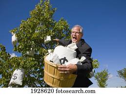 businessman harvesting money from a money tree