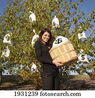 woman harvesting money bags from money tree; edmonton, alberta, canada