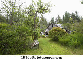 Abandoned Heritage House In Cougar Annie's Garden; Boat Basin, Vancouver Island, British Columbia, Canada