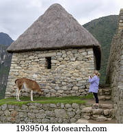 um, menina, leva, um, quadro, de, um, lhama, exterior, um, predios, em, machu, Picchu;, peru