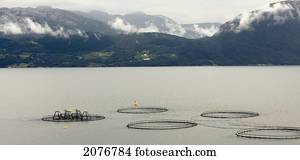 Low cloud over the mountains along the shoreline of hardangerfjord; hardangervidda norway