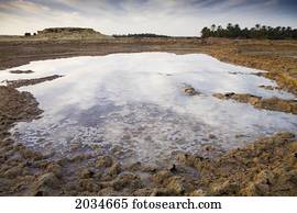 Salt Water Sitting In A Dry Desert Field Outside The Town Of Siwa At The Siwa Oasis; Siwa Egypt