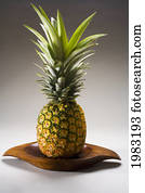 Studio Shot Of A Pineapple.