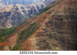Trees growing on the rugged surface of a mountainside;Hawaii united states of america